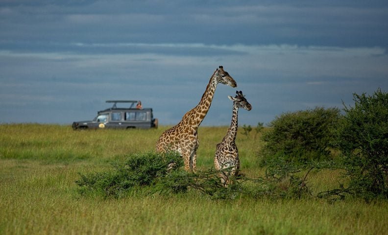 Safari en el Serengeti