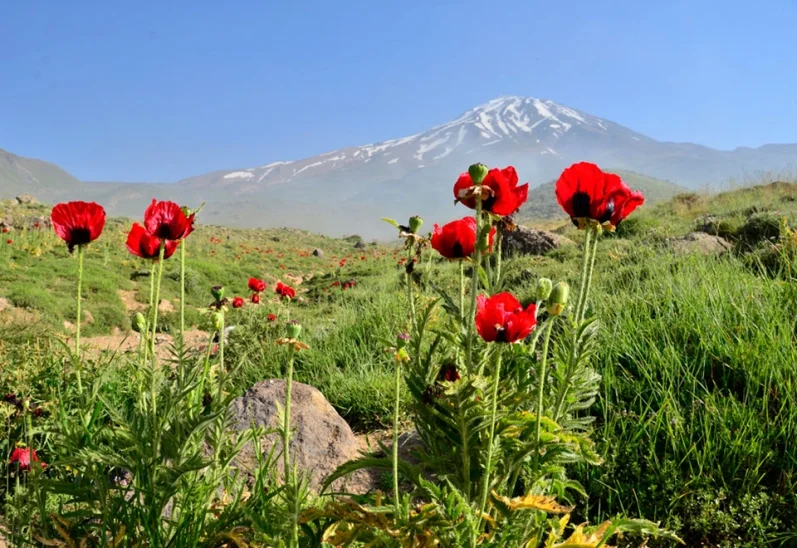 El monte Damavand
