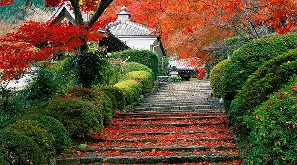 jardin-en-otoño-kyoto